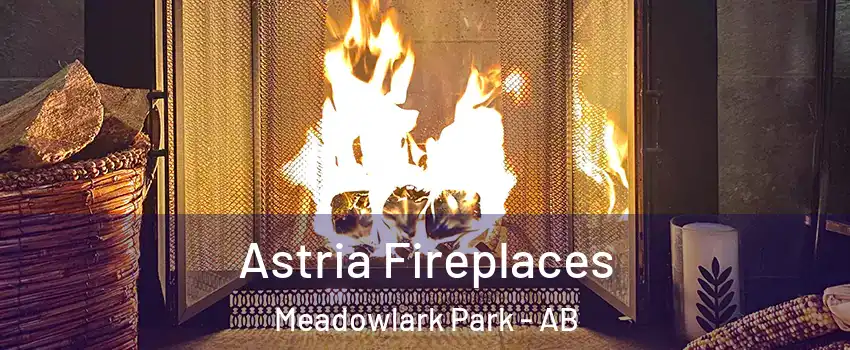  Astria Fireplaces Meadowlark Park - AB