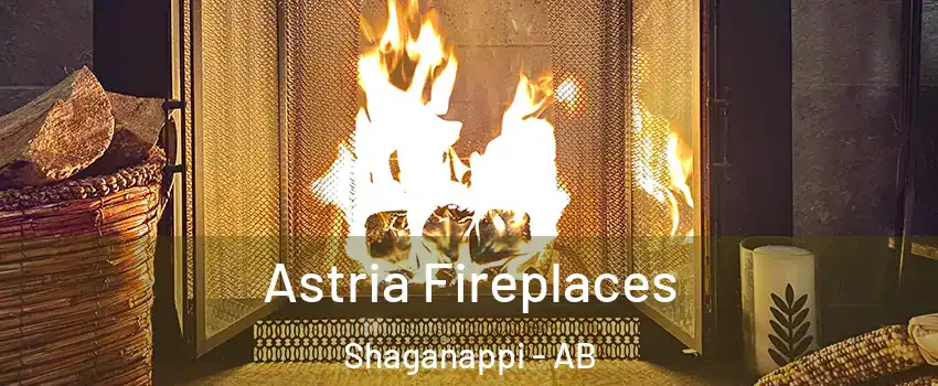  Astria Fireplaces Shaganappi - AB