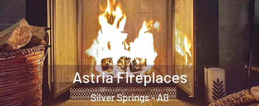  Astria Fireplaces Silver Springs - AB