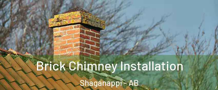  Brick Chimney Installation Shaganappi - AB