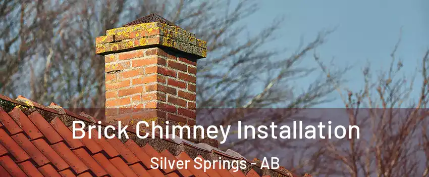  Brick Chimney Installation Silver Springs - AB