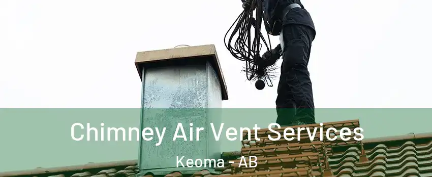  Chimney Air Vent Services Keoma - AB