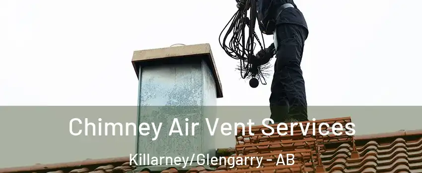  Chimney Air Vent Services Killarney/Glengarry - AB