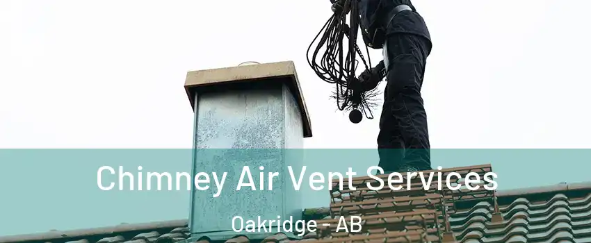  Chimney Air Vent Services Oakridge - AB