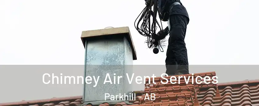 Chimney Air Vent Services Parkhill - AB