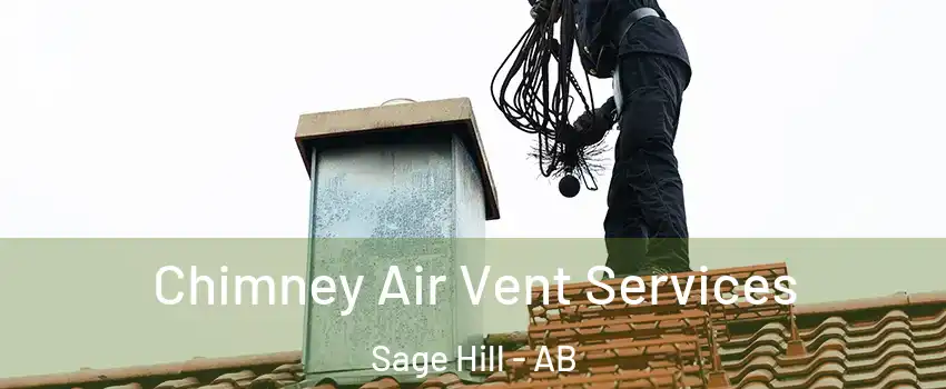  Chimney Air Vent Services Sage Hill - AB
