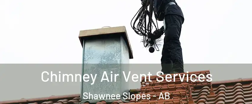  Chimney Air Vent Services Shawnee Slopes - AB