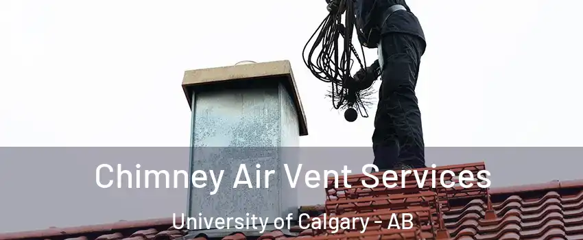  Chimney Air Vent Services University of Calgary - AB