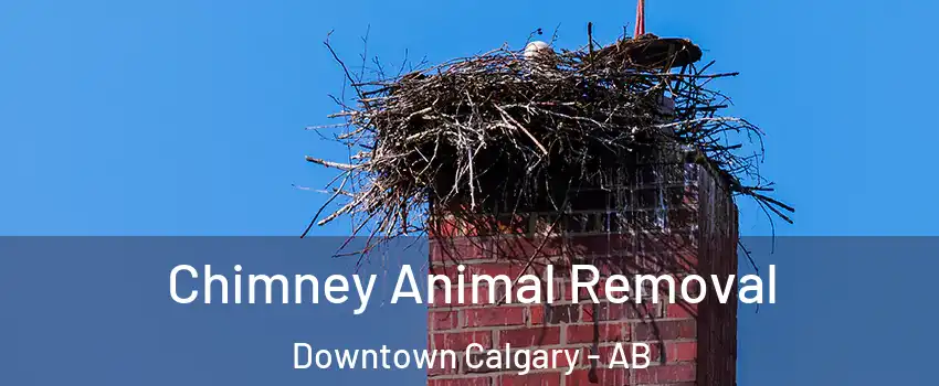  Chimney Animal Removal Downtown Calgary - AB