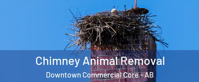  Chimney Animal Removal Downtown Commercial Core - AB
