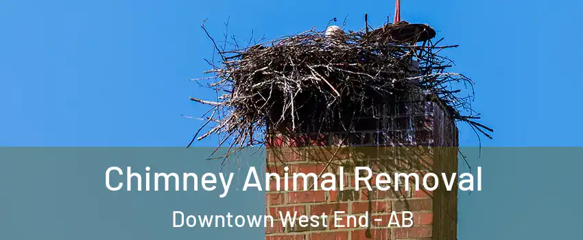  Chimney Animal Removal Downtown West End - AB