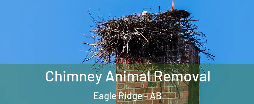  Chimney Animal Removal Eagle Ridge - AB