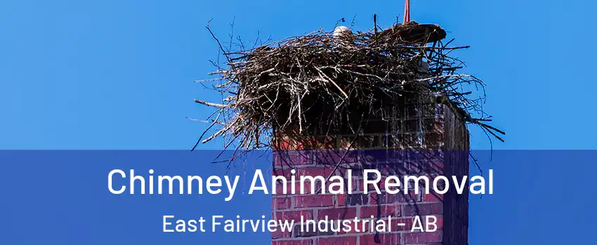  Chimney Animal Removal East Fairview Industrial - AB