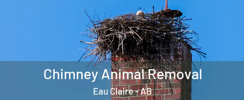  Chimney Animal Removal Eau Claire - AB