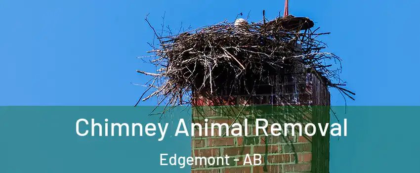 Chimney Animal Removal Edgemont - AB
