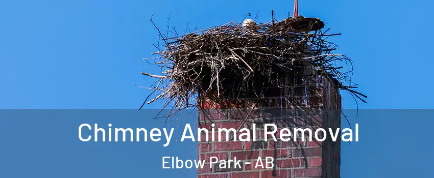  Chimney Animal Removal Elbow Park - AB