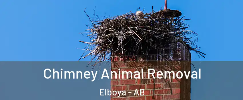 Chimney Animal Removal Elboya - AB