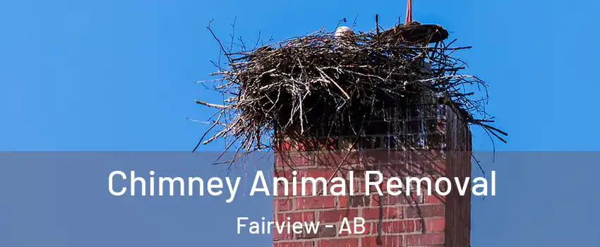 Chimney Animal Removal Fairview - AB