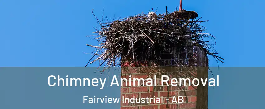  Chimney Animal Removal Fairview Industrial - AB