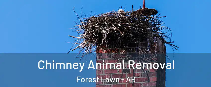  Chimney Animal Removal Forest Lawn - AB