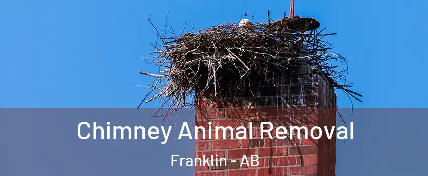  Chimney Animal Removal Franklin - AB