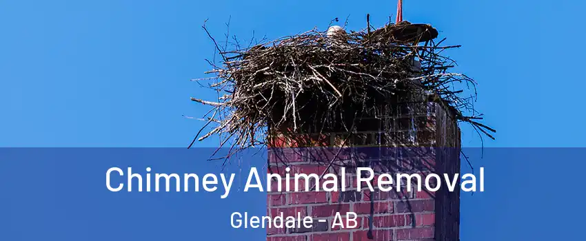 Chimney Animal Removal Glendale - AB