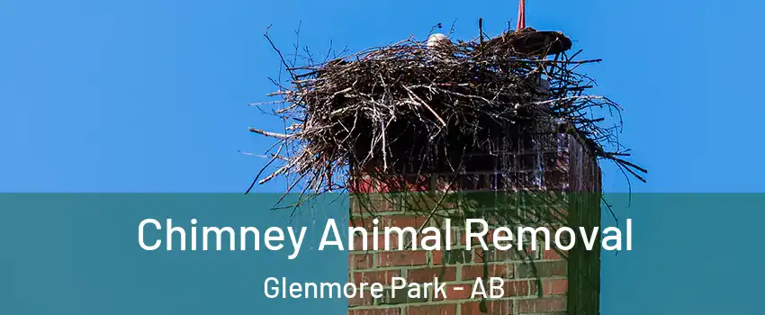 Chimney Animal Removal Glenmore Park - AB