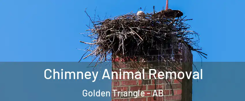 Chimney Animal Removal Golden Triangle - AB