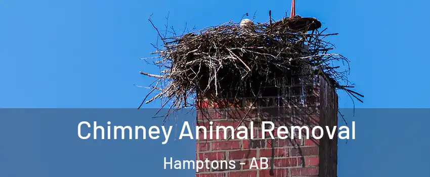 Chimney Animal Removal Hamptons - AB