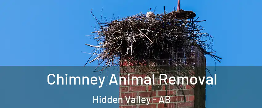 Chimney Animal Removal Hidden Valley - AB