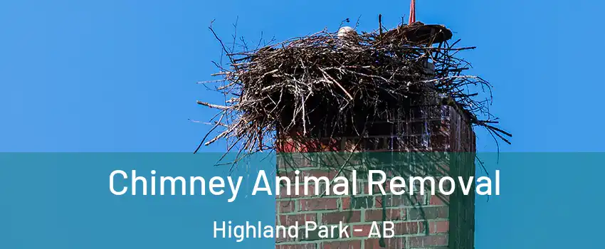 Chimney Animal Removal Highland Park - AB