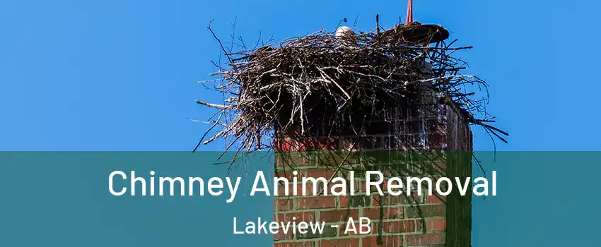 Chimney Animal Removal Lakeview - AB
