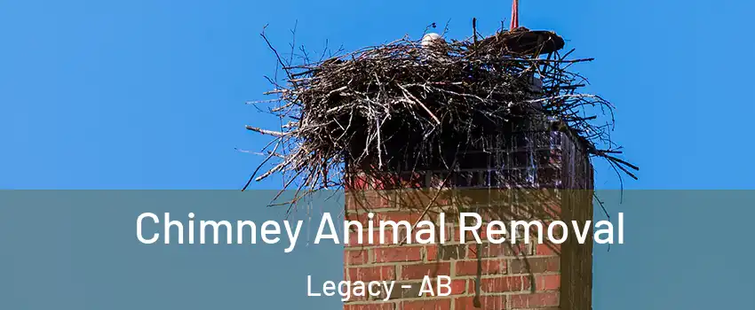  Chimney Animal Removal Legacy - AB