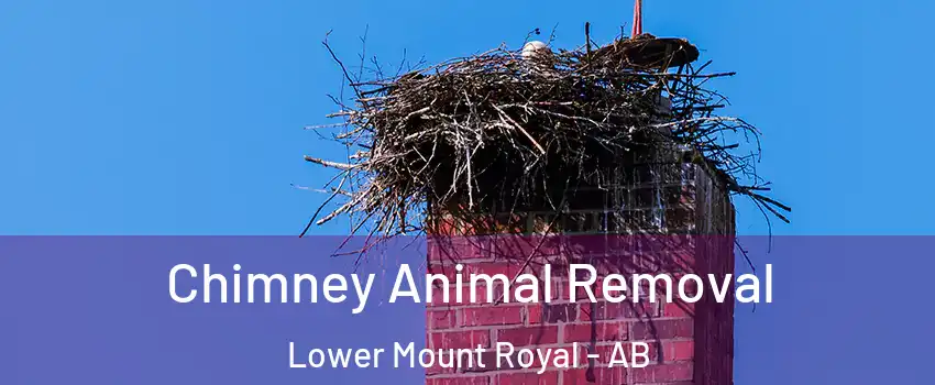 Chimney Animal Removal Lower Mount Royal - AB