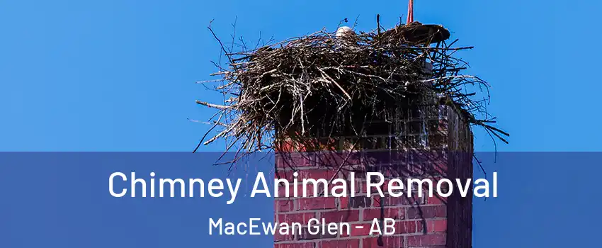  Chimney Animal Removal MacEwan Glen - AB