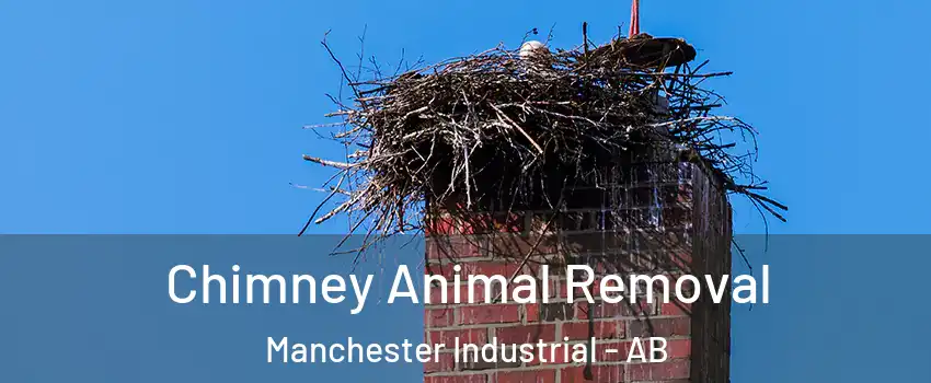  Chimney Animal Removal Manchester Industrial - AB
