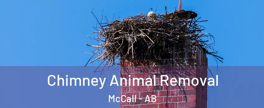 Chimney Animal Removal McCall - AB