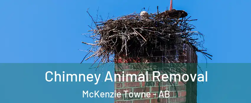 Chimney Animal Removal McKenzie Towne - AB