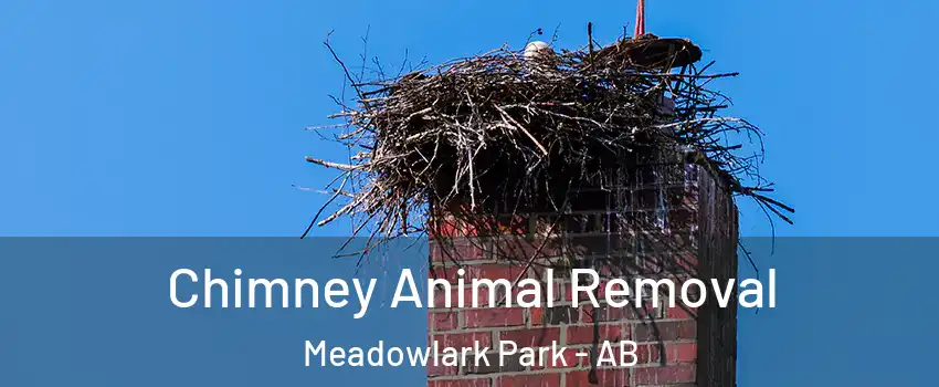  Chimney Animal Removal Meadowlark Park - AB
