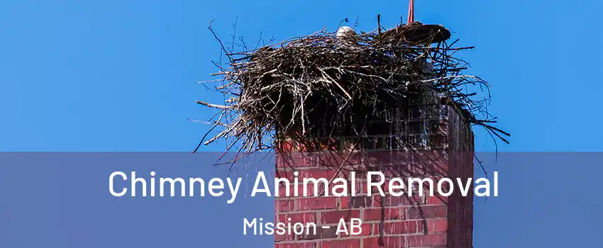 Chimney Animal Removal Mission - AB