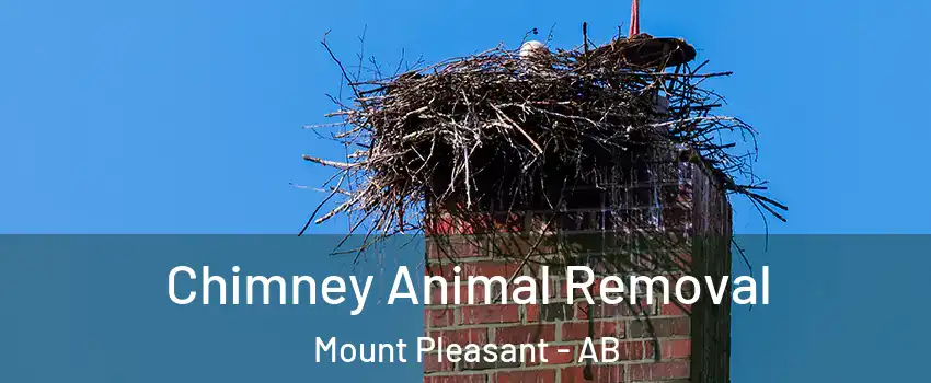  Chimney Animal Removal Mount Pleasant - AB