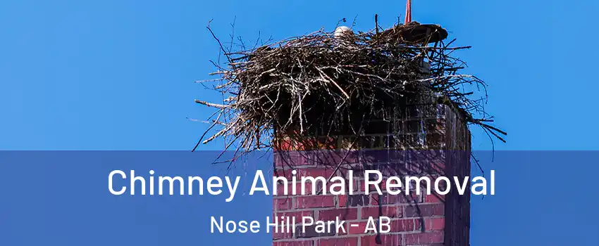  Chimney Animal Removal Nose Hill Park - AB