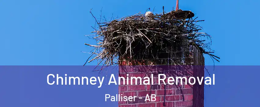  Chimney Animal Removal Palliser - AB