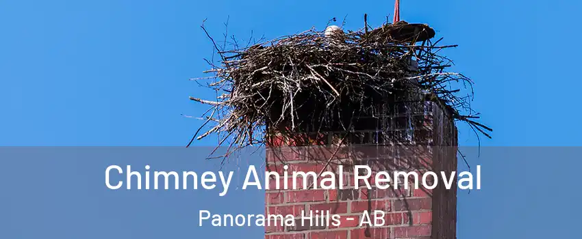 Chimney Animal Removal Panorama Hills - AB