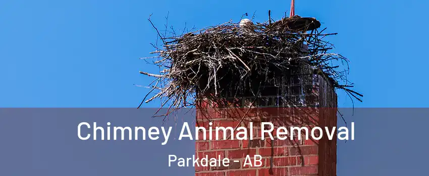  Chimney Animal Removal Parkdale - AB