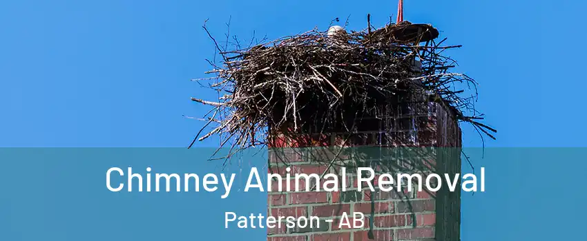 Chimney Animal Removal Patterson - AB