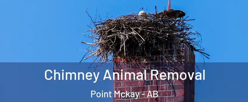 Chimney Animal Removal Point Mckay - AB