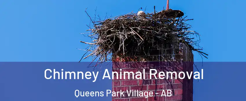  Chimney Animal Removal Queens Park Village - AB