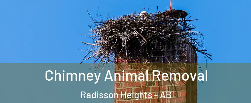  Chimney Animal Removal Radisson Heights - AB