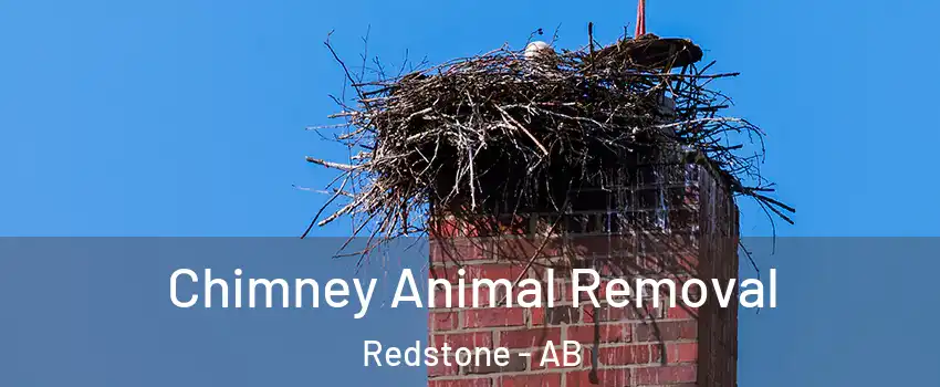  Chimney Animal Removal Redstone - AB